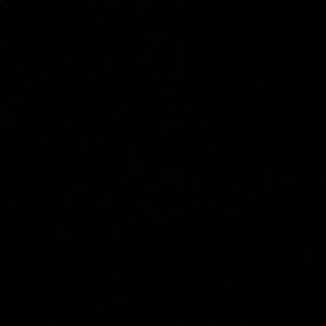 Meet your Posher, Anguau